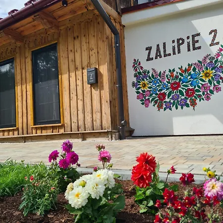 2 Malowana W Zalipiu Villa Zalipie